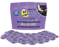 MULBERRY WONDER WAFER